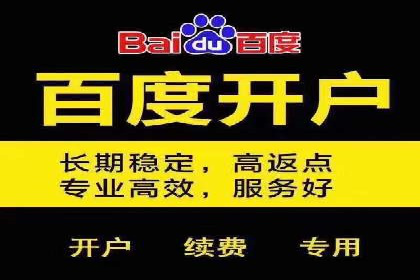 百度推广公司案例分析：精准定位，助力企业精准营销